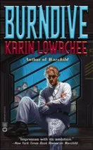 Cover of Burndive by Karin Lowachee