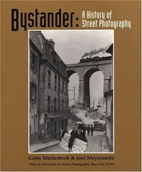 Cover of Bystander by Colin Westerbeck